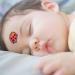 10Pcs Forehead Thermometer Strips for Infants Babies Kids Adults Checking Fever Temp Reusable Travel Thermometers Forehead Thermometer Strips for Kids Adults Baby Forehead Thermometer Strips - Buy Online on SooperMarket.com