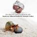 Sungrow 10 Hermit Crab & Crayfish Calcium Supplement Balls - 30+ Minerals for Molting Pets - Buy Online on SooperMarket.com