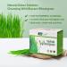 2x boxes of 30 sachets of 2 g of wheat grass - Buy Online on SooperMarket.com