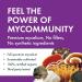Host Defense MyCommunity Capsules Comprehensive Immune Support with 17 Mushroom Supplements Lion's Mane Chaga Mushroom Reishi Cordyceps Turkey Tail Certified Organic Vegetarian Capsules 60 count (Pack of 1) - Buy Online on SooperMarket.com