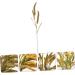 Zerodeko 3pcs Simulated Ears of Corn Plant Decor Dried Wheat Stalks Artificial Wheat Ears Artificial Grasses Bundle Fake Wheat Ears Simulation Wheat Ears Dried Millet Household Iron Straw Greenx3pcs 12X75CMx3pcs - Buy Online on SooperMarket.com