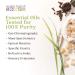 Aura Cacia Organic Deep Rosehip Facial Oil Serum with Geranium & Clary Sage - 1 fl oz - Buy Online on SooperMarket.com
