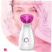 Baluue 2pcs Facial Spa Steamer Portable Facial Mister Face Humifigier Facial Care Steamer Facial Steamer - Buy Online on SooperMarket.com