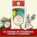 Buy Old Spice Fiji Red Coffee 16 Fl Oz - Refreshing Men s Scent - International Shipping Available - Buy Online on SooperMarket.com