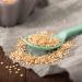 Buy Organic Quinoa | sssundclever.de | 1.8 kg | Untreated | Plastic-Free & Eco-Friendly Packaging - Buy Online on SooperMarket.com