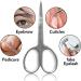 Professional Stainless Steel Eyebrow Nose Cuticle Scissor Curved Blade Nail Manicure Hairs False Eyelashes Trimmer Sharp Scissors - Buy Online on SooperMarket.com