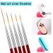 5 Pack Nail Art Eyeliner Brush Set for Precision Lines and Detailing - Buy Online on SooperMarket.com