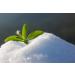 Zerocal Stevia 1:1 - Natural Sugar Substitute for Healthy Living | Shop Internationally - Buy Online on SooperMarket.com