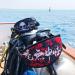 AUTOKOLA Neoprene Scuba Diving Mask Strap Cover - Black - CCR Flag Patterns - Velcro Closure - 7.5 x 3.5 - Buy Online on SooperMarket.com