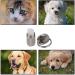 SUSSURRO 6 Pack Pet ID Tags Tag Barrel Tube with Address Name Label Anti -Lost Dog Cat ID Tag for Collar Of Dog Cat - Buy Online on SooperMarket.com