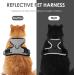 Breakproof Cat Leash Set & Adjustable Soft Kitten Vest | Reflective Stripes | Gray Small Cat Dishes | Ideal for Small Kittens - Buy Online on SooperMarket.com