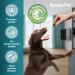 AmeizPet Anal Gland Treatment Soft Dog Chews - 120 Healthy Digestive Fiber Treats - Buy Online on SooperMarket.com