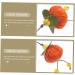 Cabilock Persimmon Sachet Chinese Style Blessing Bags Feng Shui Car Accessories Decor Face Powder Fine Orange 13X3CM - Buy Online on SooperMarket.com