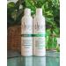 Cleure Fragrance-Free Conditioner for Sensitive Skin - 12 fl oz - Buy Online on SooperMarket.com