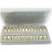 Dental Model - Teeth Model - 28 Pieces Two-Tone Permanent Teeth Study Analysis Demonstration Teeth