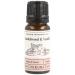 Sandalwood & Vanilla Fragrance Oil - 10ml | for Gifts Diffusers Candle Making Soap Making | Great for use in Bath Bombs Perfume Oil Perfume Scents | Vegan & UK Made
