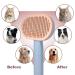 Self-Cleaning Cat Brush for Long & Short Hair - Removes Loose Fur & Dirt - Blue - Buy Online on SooperMarket.com