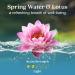 Enviroscent Non-Toxic Air Freshener | Spring Water & Lotus Plug-In | 45+ Day Lasting Home Fragrance | Essential Oil Refillable Set - Buy Online on SooperMarket.com