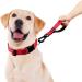 PLUTUS PET Strong Training Dog Lead with Rock Climing Carabiner Clip Relective Nylon Dog leash Padded Handle Training Lead for Large and Medium Dogs(25cm Red) 25 cm (Pack of 1) Red - Buy Online on SooperMarket.com