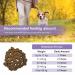Petsy Skin & Coat Supplement for Dogs - Vitamin C, E, Zinc, Biotin, Omega 3 - Supports Healthy & Shiny Coat, Rejuvenates Skin, Natural Relief for Itchy Skin - Daily Use - Buy Online on SooperMarket.com