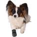 TRIXIE Water-Repellent Dog Shoes - Paw Protection for Small Breeds Black 2-Piece Set (Pack of 3) - Buy Online on SooperMarket.com