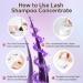Premium Lash Shampoo Concentrate 100ml | Oil-Free Eyelash Extension Cleanser Kit | Ultimate Lash Cleaning Brush & Bottle - Buy Online on SooperMarket.com