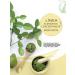 Florigan Bergamota Hair Growth Shampoo 1lt - 33.8 Fl Oz (Pack of 1) - Buy Online on SooperMarket.com