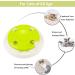 Pettom Interactive Cat Toy | Electric Butterfly Funny Exercise Toy for Kittens | Rotating Pop N Play Toy with Replacement Feathers | Green - Buy Online on SooperMarket.com