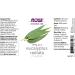 Now Foods Eucalyptus Radiata Essential Oil 1 fl oz - Pure Aromatherapy | Natural Wellness - Buy Online on SooperMarket.com