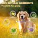 Repellent Collars for Dogs Repellent Collar for Dogs Adjustable Water Resistant repellent Collar Dog Natural Dog repellent Collars for Puppies Small Medium Large Dogs Blue 2pack - Buy Online on SooperMarket.com