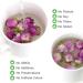 Buy France Rose Tea - Fragrant Natural Rosa Damascena Buds | 50g | Premium Herbal Flower Tea for Health - Buy Online on SooperMarket.com