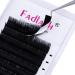 Easy Fan DD Curl 0.03 11-19mm Russian Lashes Natural Look - Buy Online on SooperMarket.com
