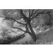 Hoya 82mm R72 Infrared Glass Filter for Superior Photography Results - Buy Online on SooperMarket.com
