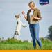 Vita Force Boony Bits: Sugar-Free Grain-Free Training Treats for Small Dogs | 6x55g Healthy Rewards - Buy Online on SooperMarket.com