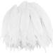 HaiMay 200 Pieces White Feathers for Craft Wedding Home Party Decorations  6-8 Inches Goose Feathers White Craft Feathers White 200 Pieces
