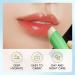 Aloe Vera Lipstick Set of 3 Moisturizing Lip Balm Repairing Lip Balm Aloe Vera Lip Gloss Plumping Effect Lipstick for Dry and Cracked Lips Lip Care - Buy Online on SooperMarket.com