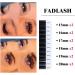 Fadlash Easy Fan 0.05-C Russian Eyelashes Extensions 15-20mm Mixed Length C Curl for Natural Look - Buy Online on SooperMarket.com