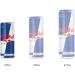 Red Bull Energy Drink 250ml (12 Pack) 250ml (Pack of 12) - Buy Online on SooperMarket.com