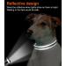 Joytale Reflective Dog Collar for Small Dogs - Grey Size S (Pack of 1) | Best International Shipping - Buy Online on SooperMarket.com