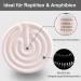 Dernord Reptiles Thermal Lamp 150W - Ceramic Heating Spotlights for Turtles Crayfish Spiders & More - E27 Heating Lamp (2 Pieces) - Buy Online on SooperMarket.com