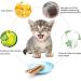tiopeia 30 PCS Cat Catnip Sticks Natural Matatabi Chew Sticks as Dental Treat Teeth Grinding Chew Toys for Cat Kitten Kitty - Buy Online on SooperMarket.com