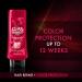 GLISS Hair Repair Conditioner Color Guard 13.6 oz - Pack of 3 - Buy Online on SooperMarket.com