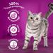 Buy Whiskas Adult 1+ Dry Cat Food - Beef 5x800g Packs | Premium Drying Cat Food for Adults - Various Packaging Options - Buy Online on SooperMarket.com