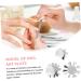 POPETPOP Lobster Headbands Manicure Art Tool medium Silver - Buy Online on SooperMarket.com
