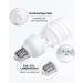 Doright UVA UVB Light 10.0 26W-E27 for Reptiles | UVB Lighting Kit for Chameleons & Leopard Geckos | International Shipping - Buy Online on SooperMarket.com