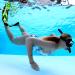 SIER Soft Silicone Full-Foot Swim Fins | Efficient Thrust | Tight Fitting | Yellow | EUR 39-40 US Men 6-7 Women 7-8 - Buy Online on SooperMarket.com