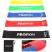 PROIRON Resistance Bands Resistant Bands Exercise Bands Resistance for Women and Men Stretch Bands for Exercise Gym Bands Set of 5 with Guide and Carrying Bag #2 upgraded anti roll set