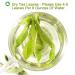100% Organic Lemon Verbena Tea - Dried Lemon Leaves for Beauty | 20g Loose Leaf - Premium Chinese Herb - Buy Online on SooperMarket.com