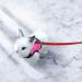 CHIPKART Small Pet Harness No Pulling Comfort Vest Guinea Pig Harness and Leash Set for Ferret Rats Bunny Hamster(L) - Buy Online on SooperMarket.com