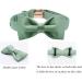 Shop Lionet Paw's Comfortable Silk Green Dog Collar with Removable Fly - XS for Puppies & Cats (20-30cm) - Ideal for International Shipping - Buy Online on SooperMarket.com